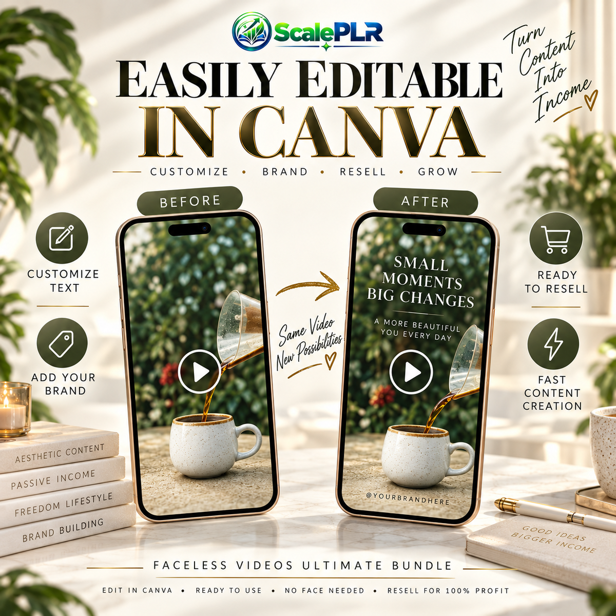 1750+ Faceless Aesthetic Videos | Reels & Social Media Content | Canva Editable | PLR + MRR