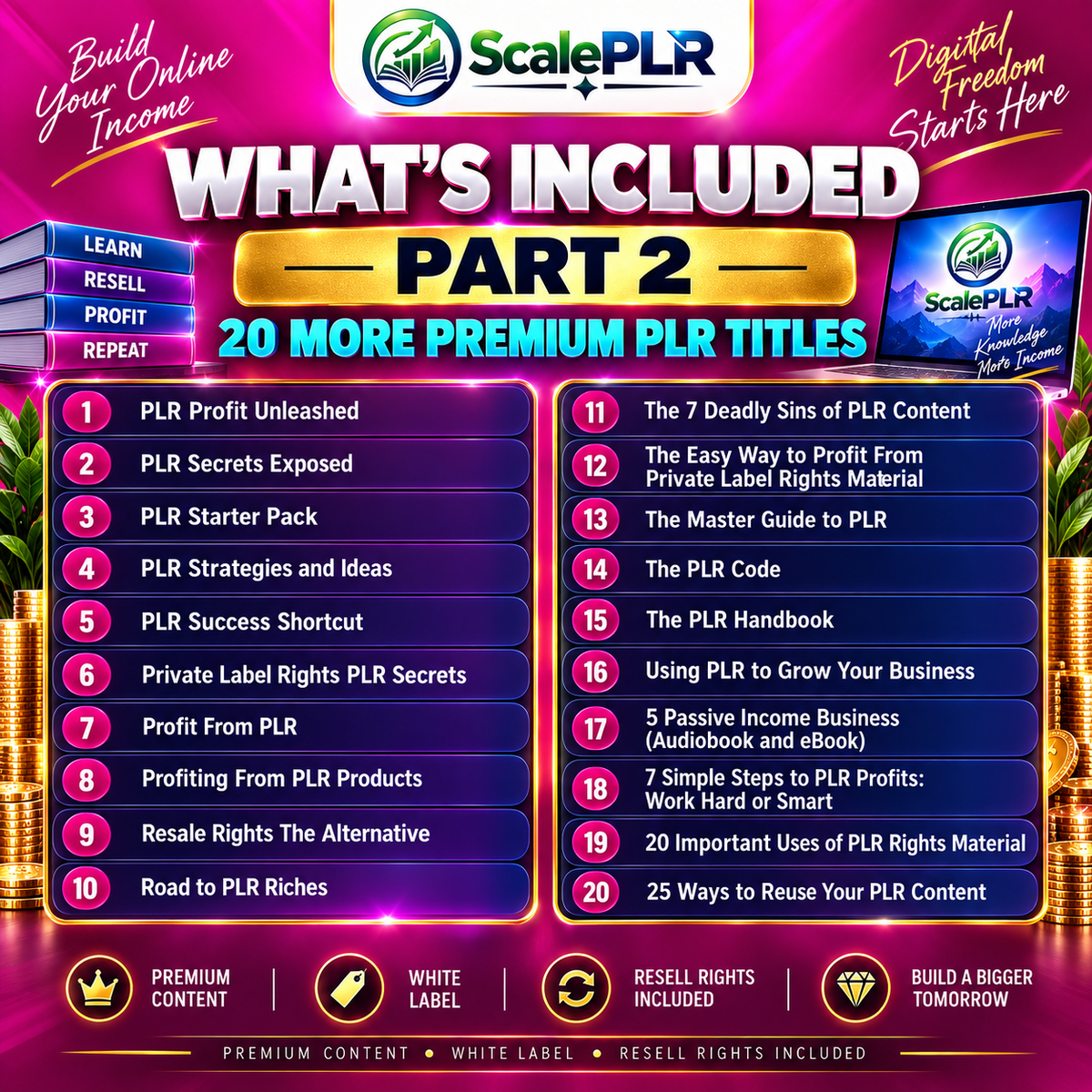 Learn How to Resell Digital with PLR & MRR | Reseller Super Pack