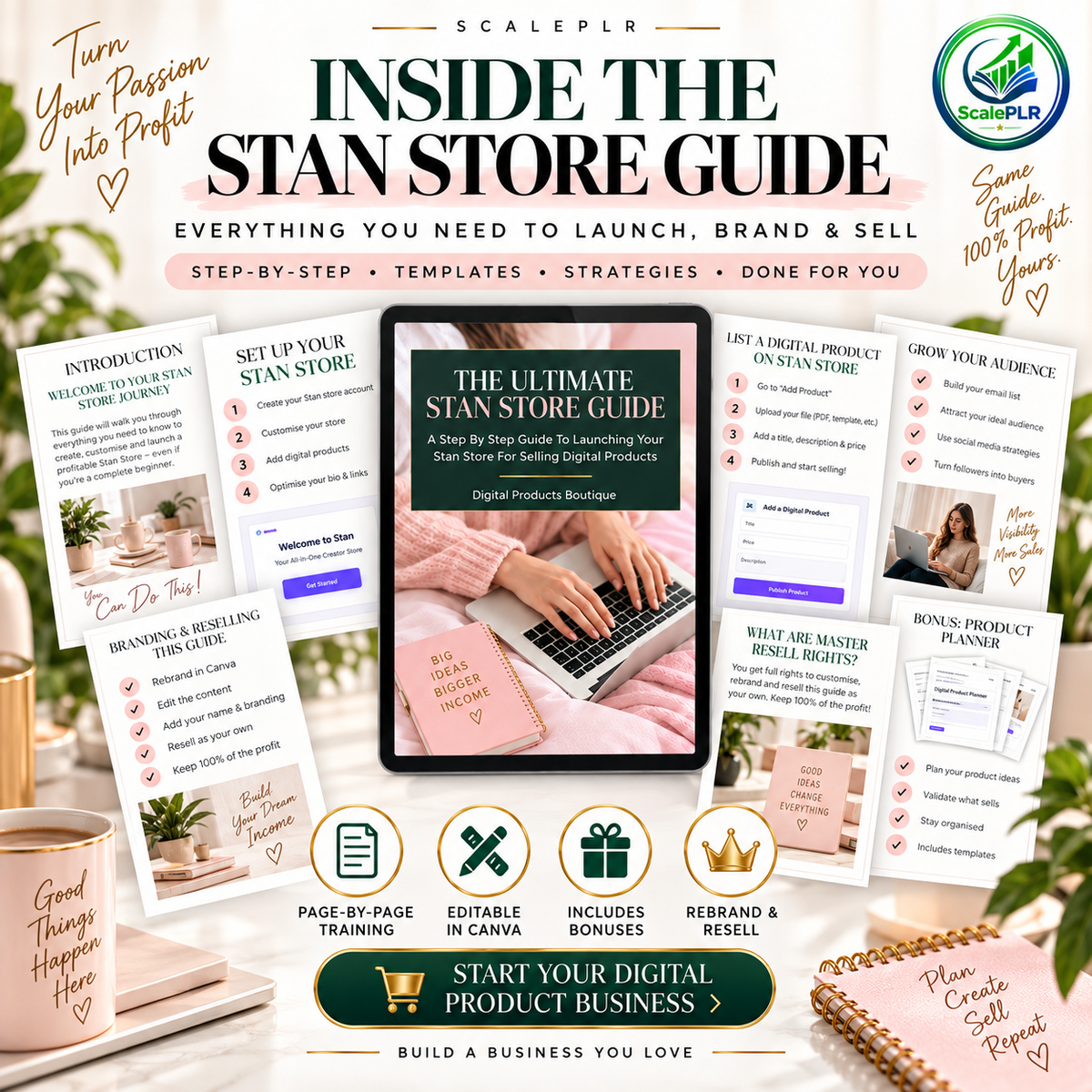 Ultimate Stan Store Guide | PLR + MRR Resell Rights | DFY Digital Product